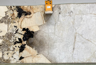 TEXTA PATAGONIA - 000275