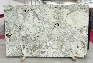 GRANITO ALPINUS PATAGONIA - 015502