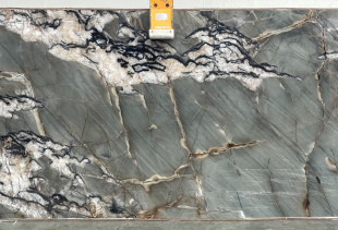 QUARTZITE BOTANIC CRYSTAL - 005706