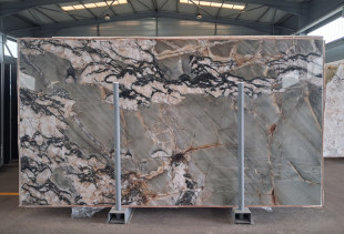 QUARTZITE BOTANIC CRYSTAL - 005706